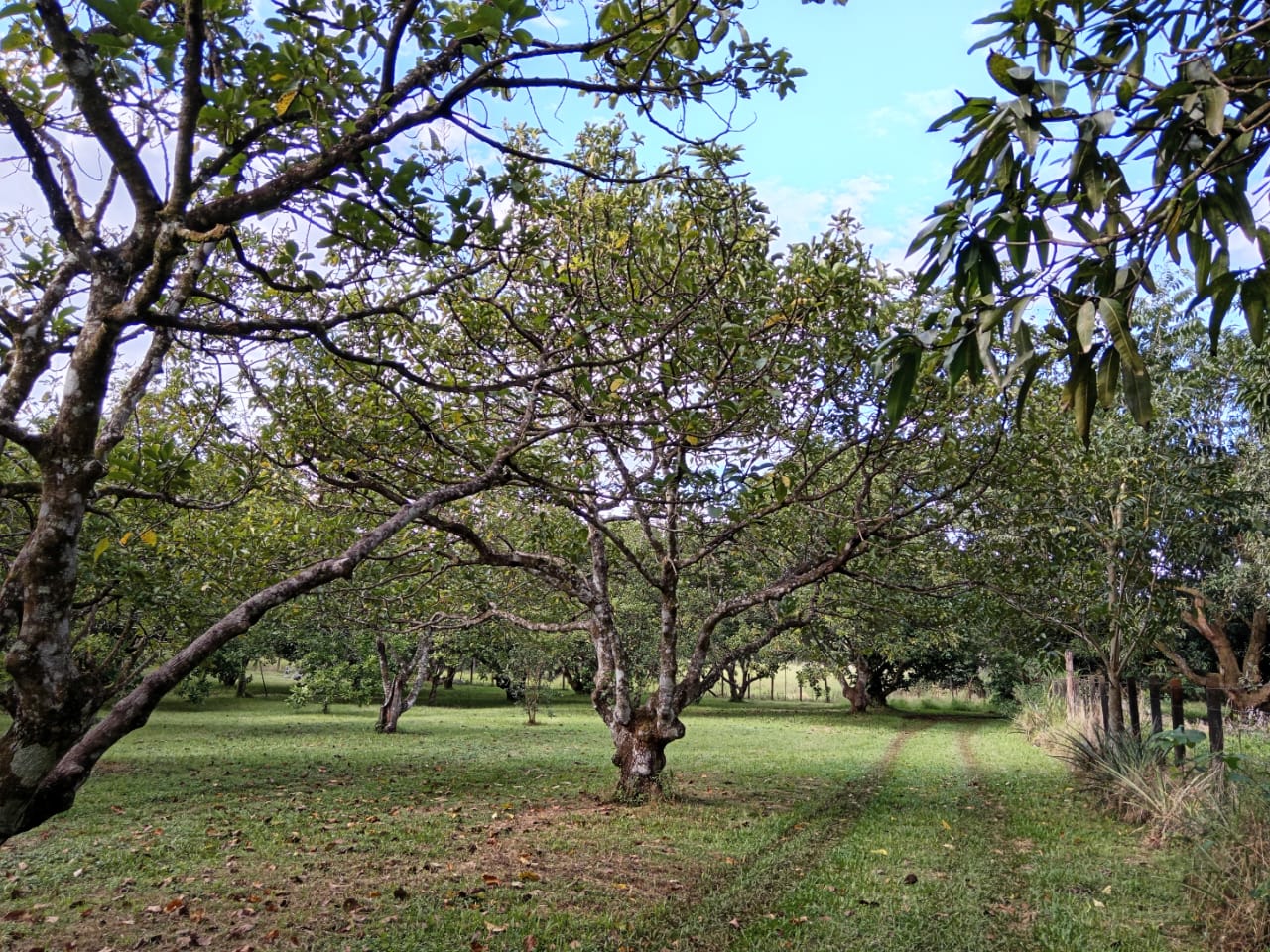 PHOTO-2025-05-01-20-59-46