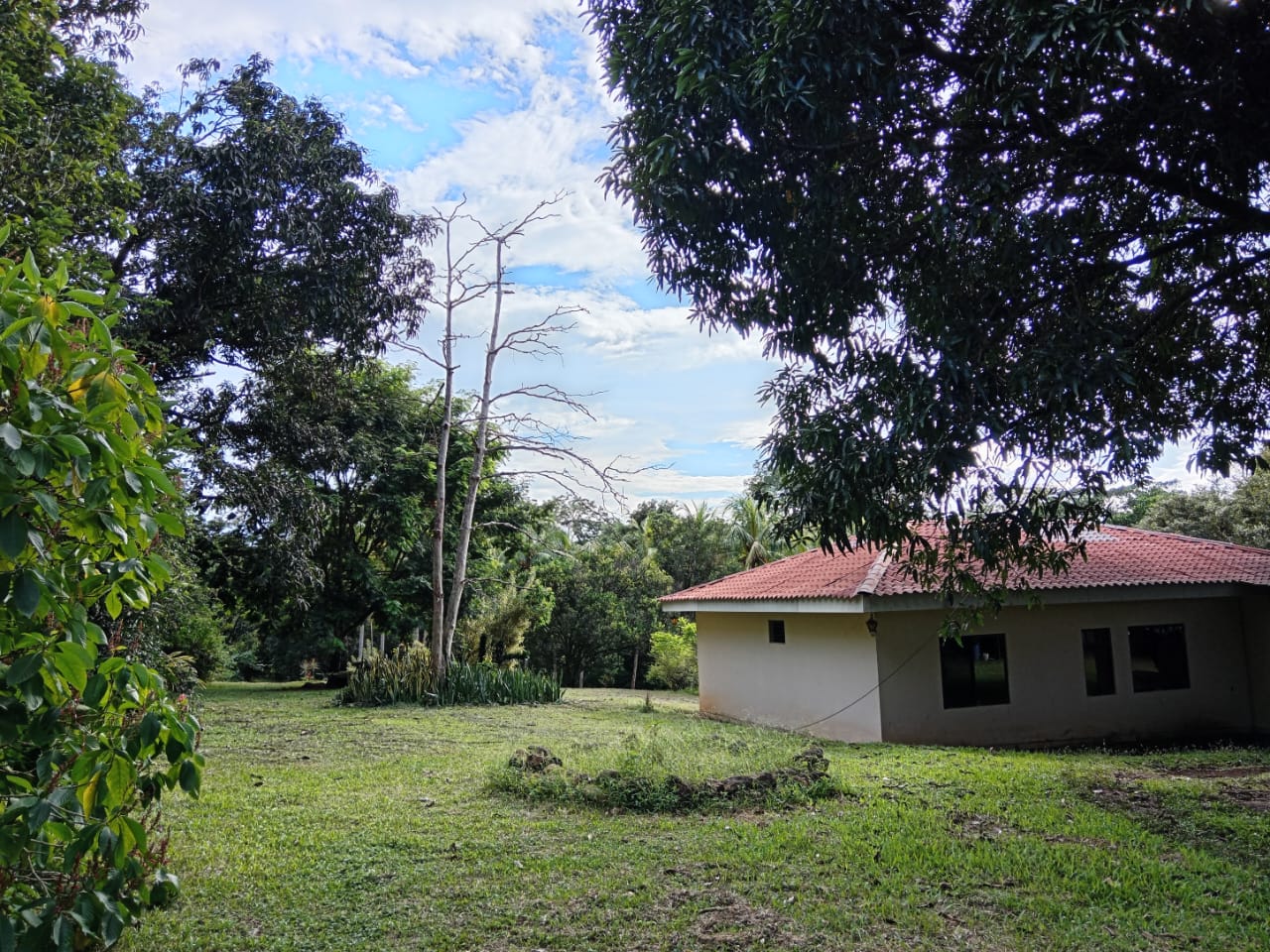 PHOTO-2025-05-01-20-59-46_1