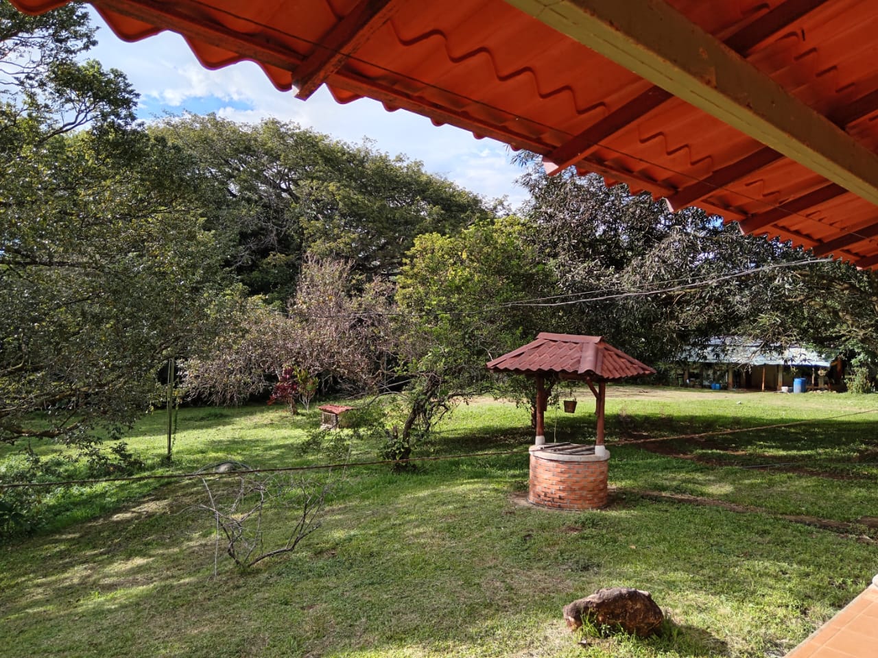 PHOTO-2025-05-01-20-59-47