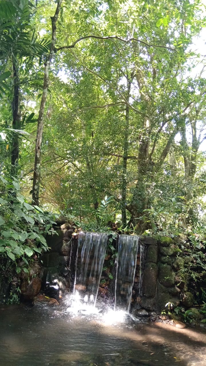 PHOTO-2025-05-01-21-02-29