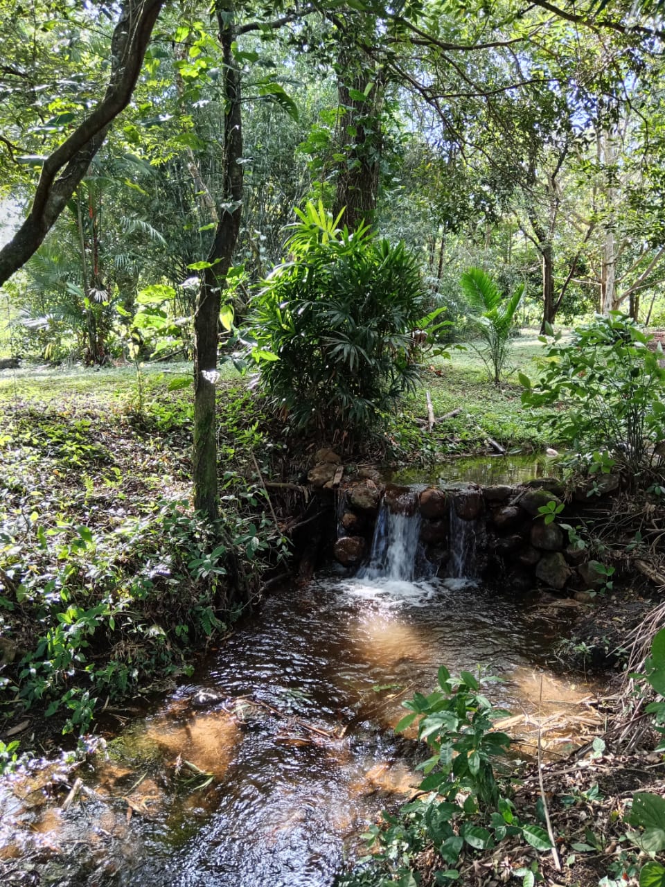 PHOTO-2025-05-01-21-02-32