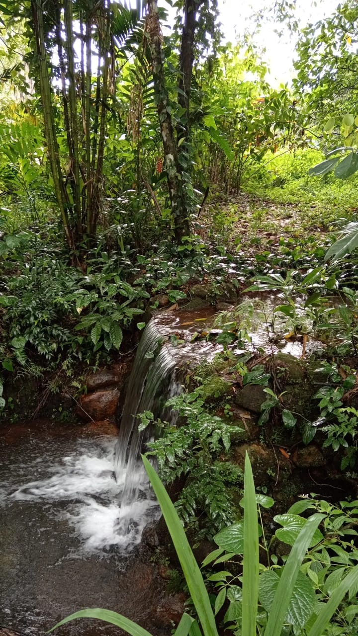 PHOTO-2025-05-01-21-02-33