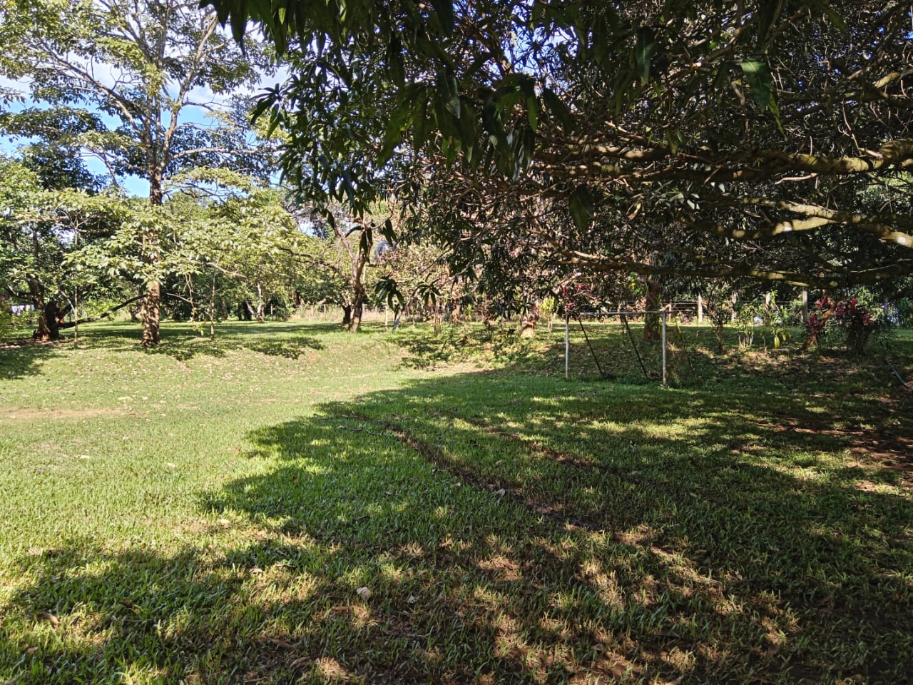 PHOTO-2025-05-01-21-02-34_2